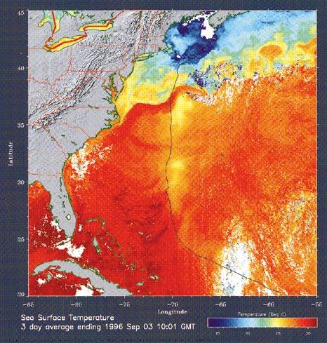 OCTOBER 1997 PICTURE OF THE MONTH 2717 FIG. 1. This image is a composite of sea surface temperature data acquired between 31 August 1996 and 3 September 1996.