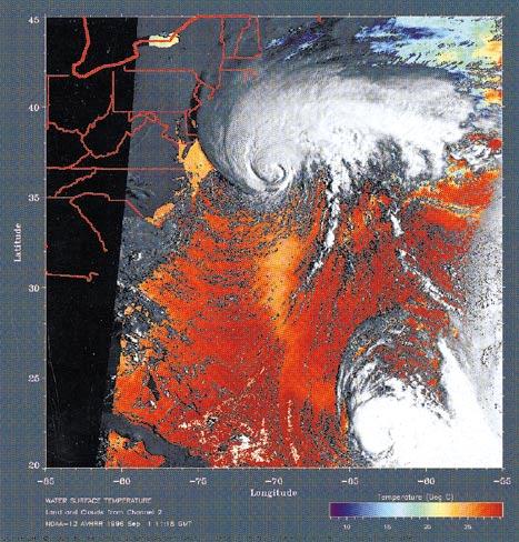OCTOBER 1997 PICTURE OF THE MONTH 2719 FIG. 3. This image shows a single pass of AVHRR data acquired at 1118 UTC 1 September 1996. The swath of cooler water is visible here.