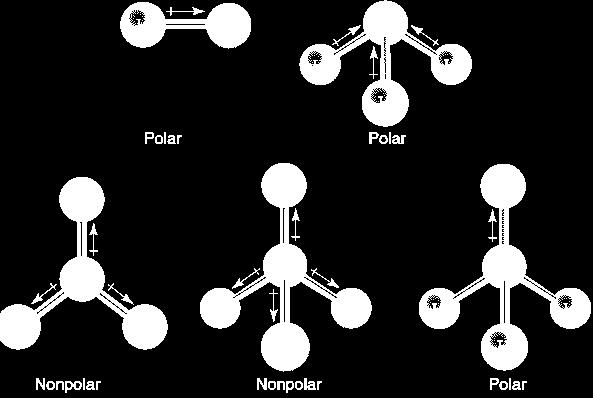 When there are no polar bonds in a molecule, there is no permanent charge difference between one part of the molecule and another, and the