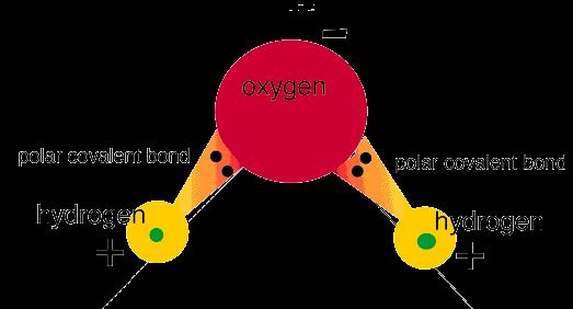 It is therefore a nonpolar molecule. A molecule can possess polar bonds and still be nonpolar.