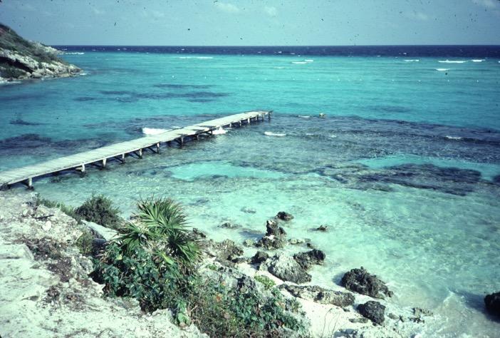 Coral reef ( El Garafon ),