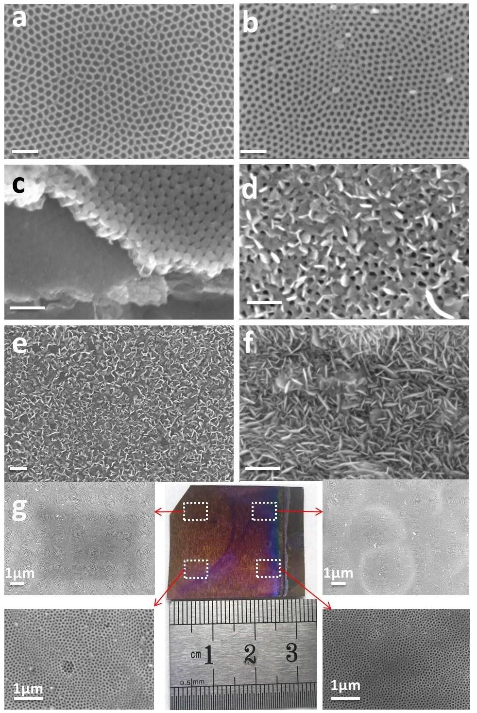 Fig. S1 (a) SEM image of as-anodized TiO 2 nanocavity arrays; (b) after e-beam deposition of 30 nm Mo; (c) cross-sectional view of MoS 2(30) @TiO 2 ; (d) 10 nm Mo sulfurized for 360 min on TiO 2