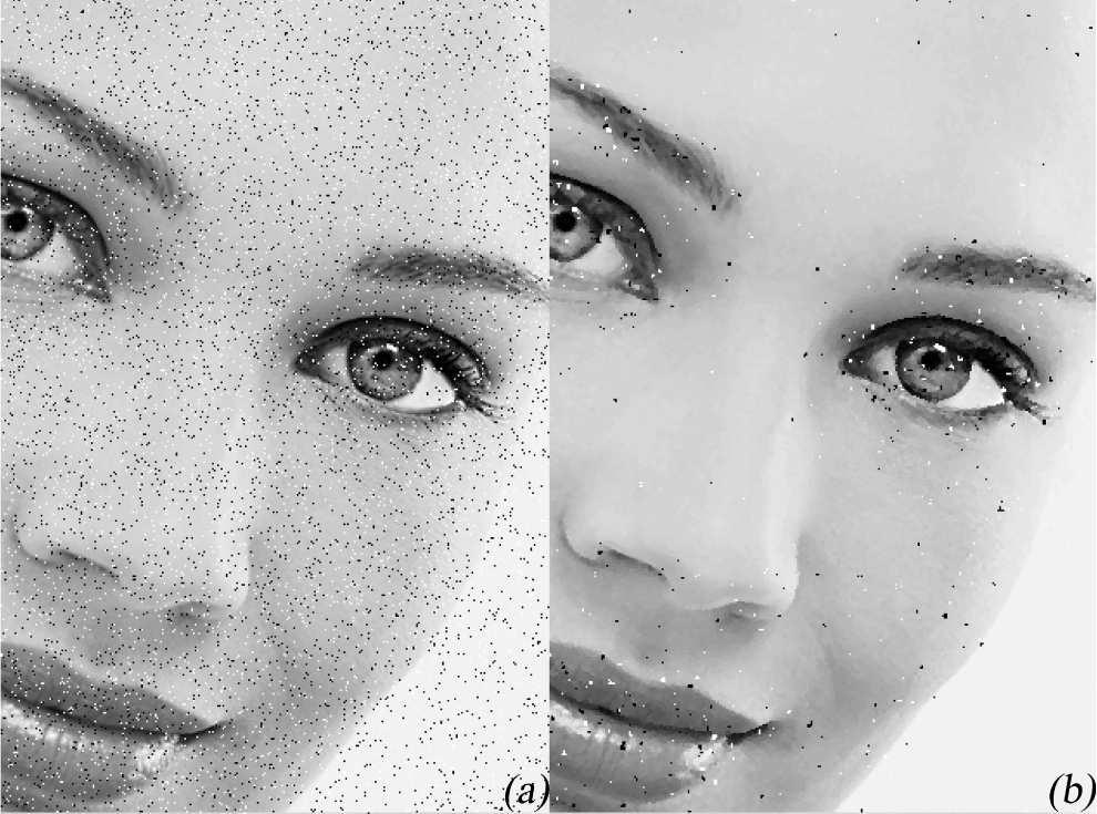 8 MYRIAD SMOOTHERS 8.1 FLOM Smoothers EXAMPLE 8.1 (IMAGE DENOISING) Figure 2: FLOM smoothing of an image for different values of p.