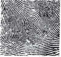 This makes a fingerprint a distinguishable characteristic of a particular individual.