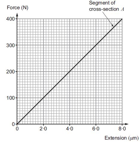 A LEVEL PHYSICS Specimen Assessment Materials 39 (b) (i) (ii) The graph shows the variation of extension with applied force for the segment of cross-section A.