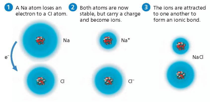 full energy level (8e-). Molecules -simplest part of a substance -contains all properties of the substance -exists in a free state Ionic bonds -Ion- an atom or molecule with an electrical charge.