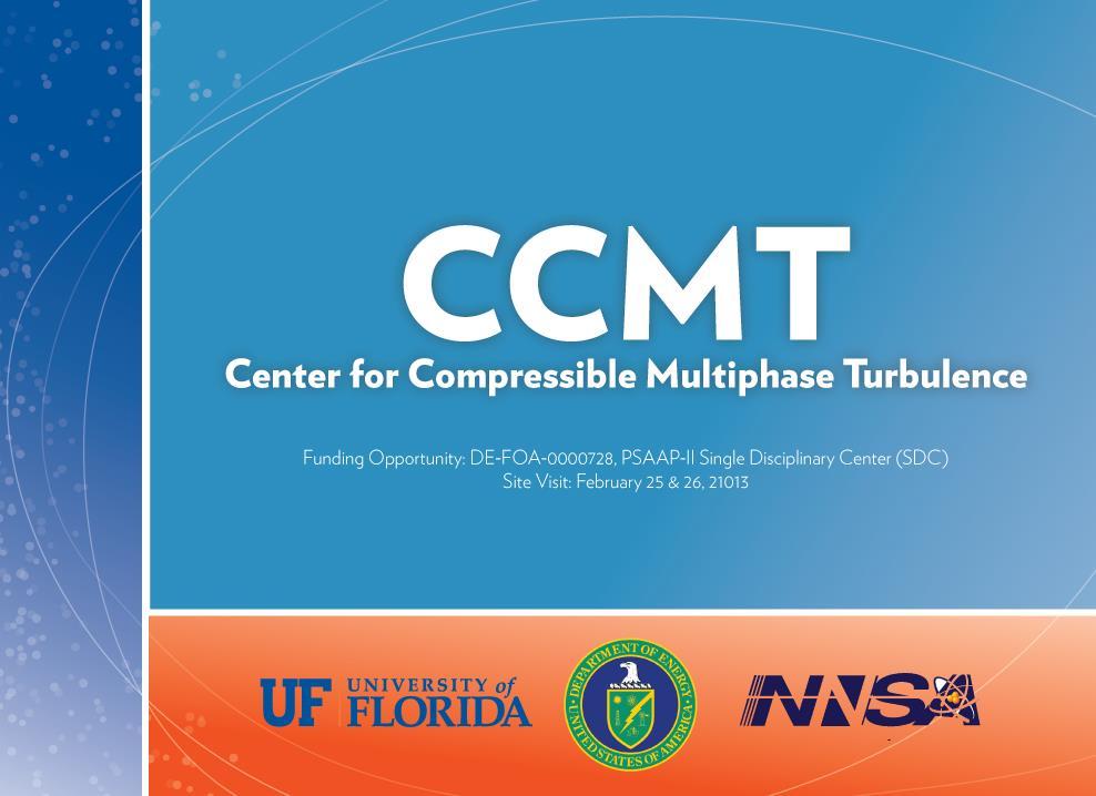 Center For Compressible Multiphase Turbulence Overview Principal Investigator: S.
