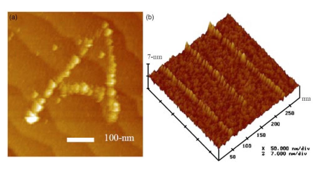 4 nm FWHM Fe nanowires from ferrocene gas W. W. Pai et al., J. Vac. Sci. Tech.