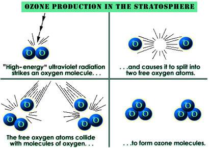 NASA Obsevatorium OZONE Web site UV photo-dissociation O 2 + hv 2O Copyright 1995-1999 TRW