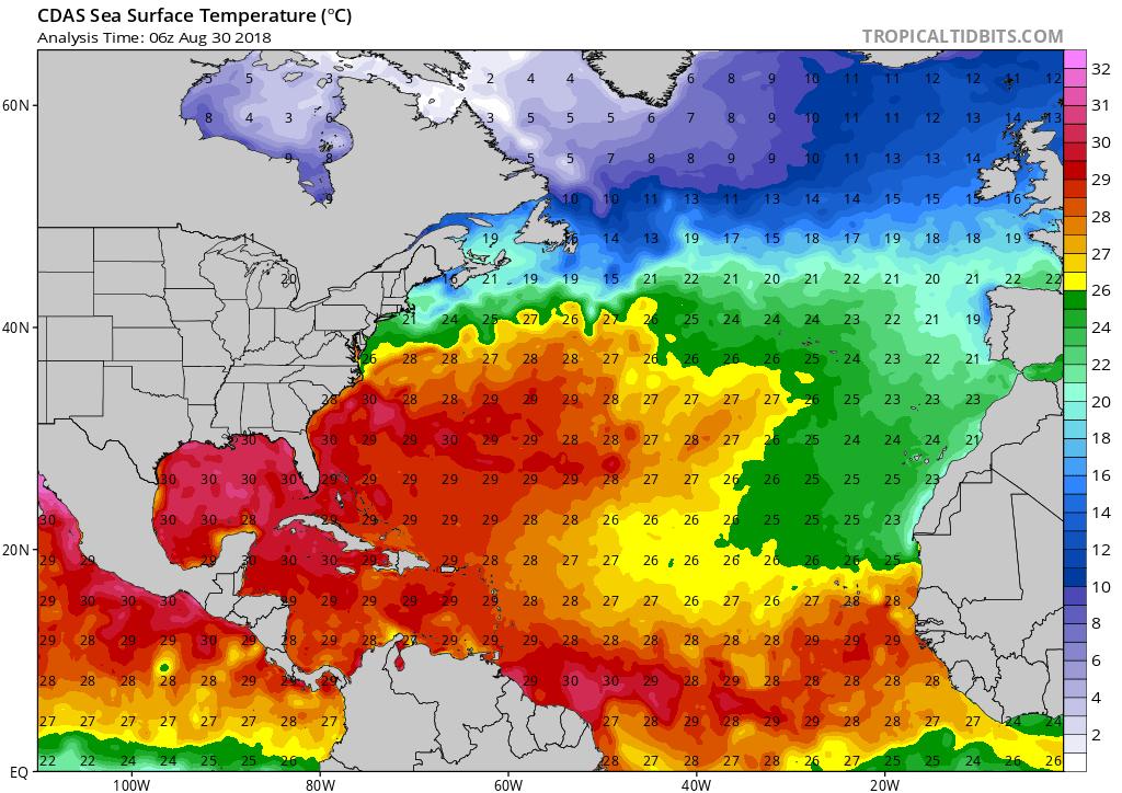 Water Temperatures Florence, 92L, and PTC #8 are all over favorable sea surface temperatures.