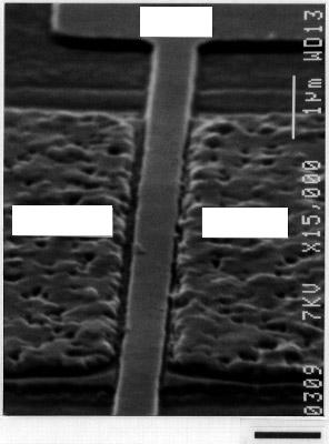 7 Superlattices and Microstructures, Vol 21, No 1, 1997 Gate Source Drain 1 µm Fig 5 Scanning electron micrograph (SEM) of the InAs/Pb:In superconducting weak link transistor versus drain voltage V