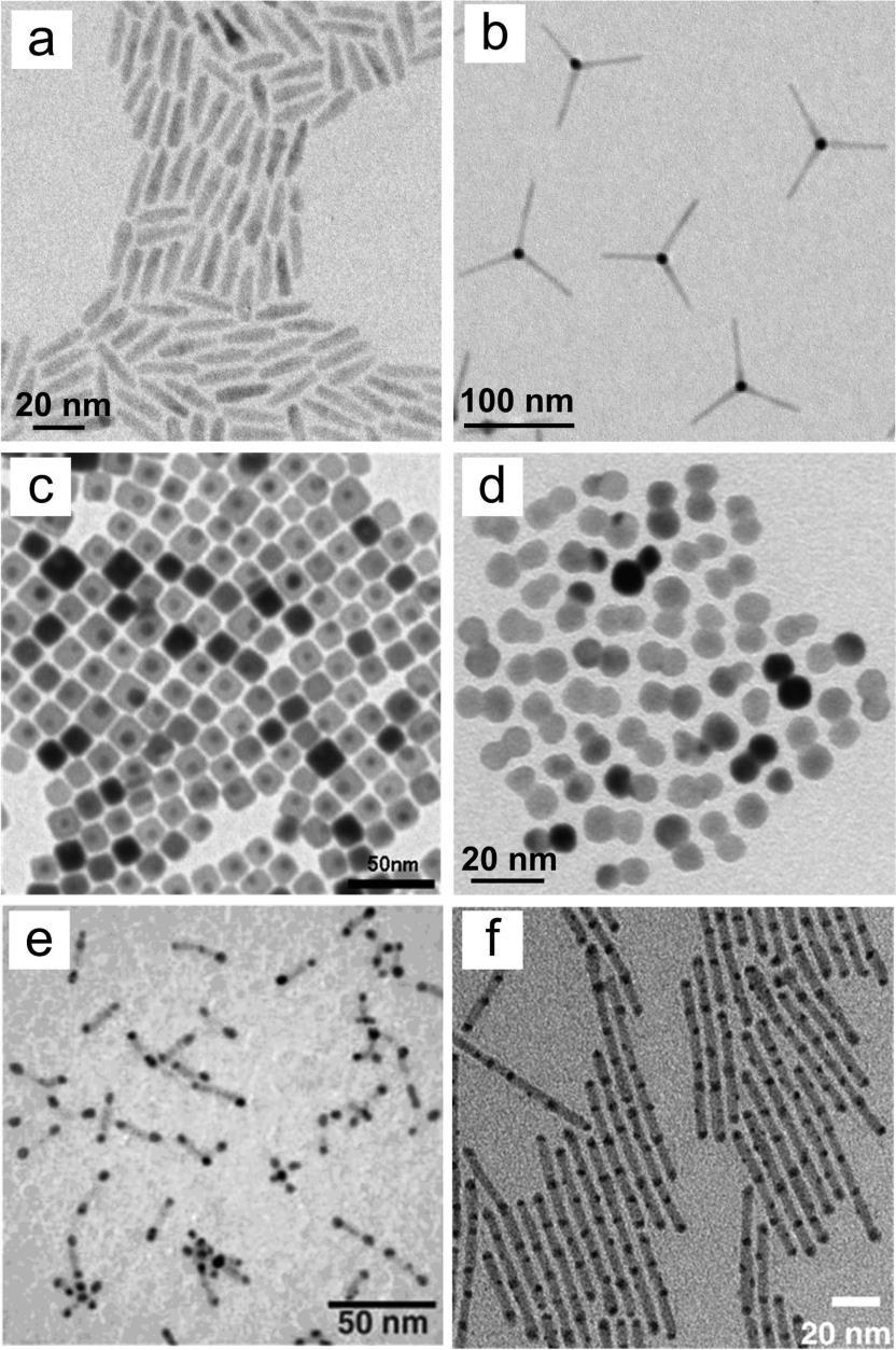 A plethora of nanoparticles (a)