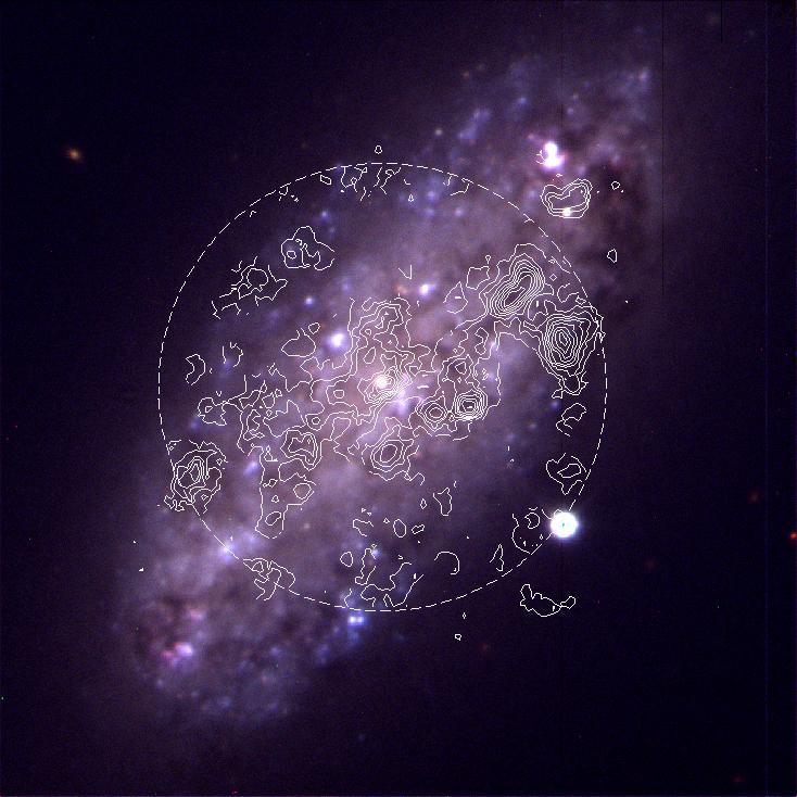 NGC 2976: B,V,R composite from Lowell 72 with CO overlay D = 3.3 Mpc; I CO = 2.