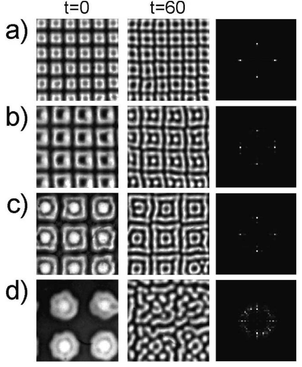 Experimental results, using spatially periodic illumination on the CDIMA reaction in a regime where the system without illumination exhibits labyrinthine patterns [30].