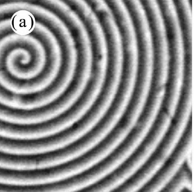 35 (I) (II) Figure 2.5. (I) Experimentally-obtained spiral in unforced system [73].