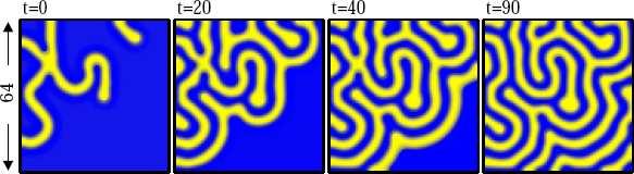 98 (γ N < γ < ν), labyrinthine pattern arising from stripe nucleation. Figures reprinted from [79] with permission. Copyright c 2002 Society for Industrial and Applied Mathematics.
