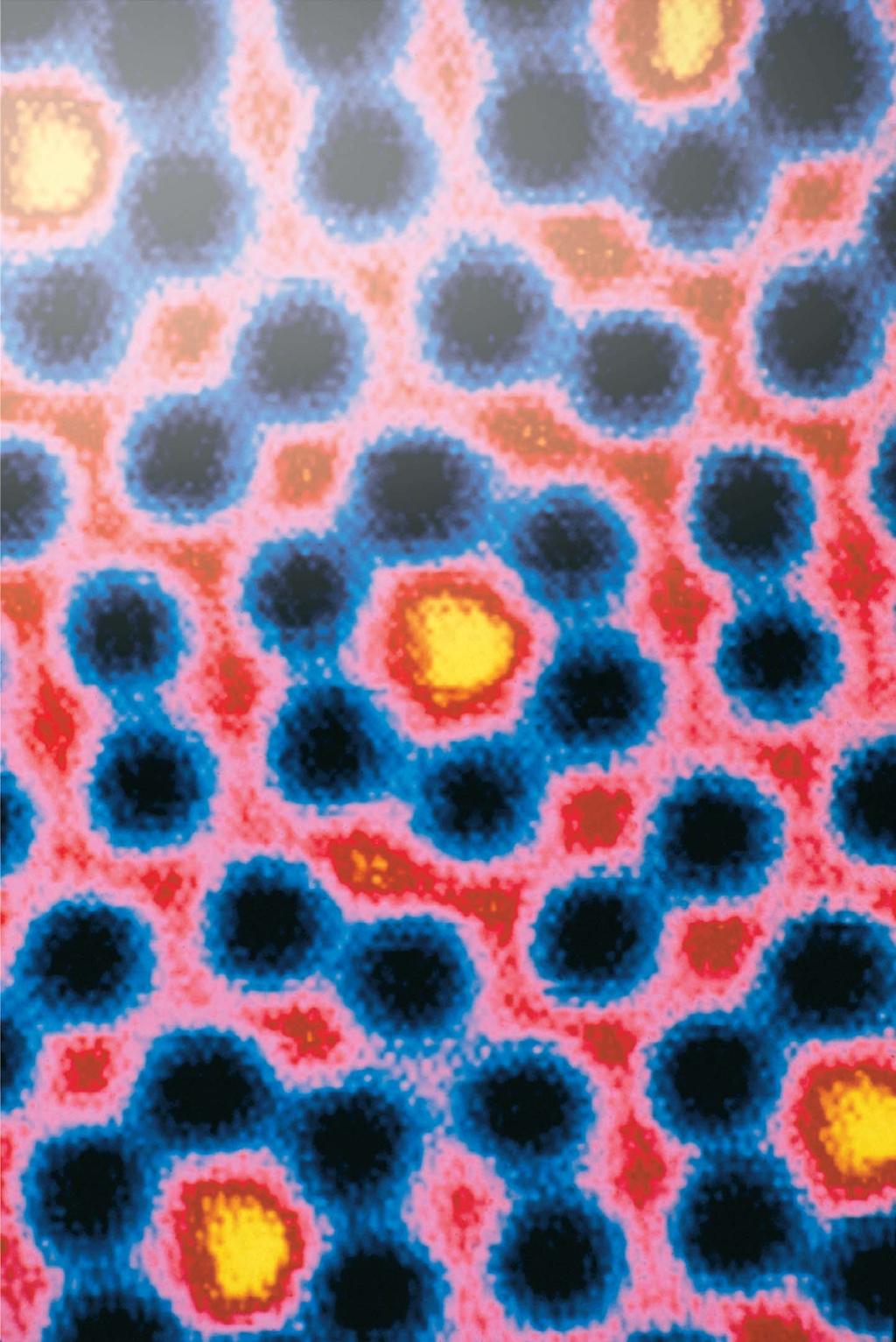 Chapter 25. Modern Optics and Matter Waves This image of the individual atoms in a silicon crystal was made by exploiting the wave properties of electrons.