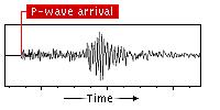Seismic Waves P waves are PRIMARY WAVES They travel like a