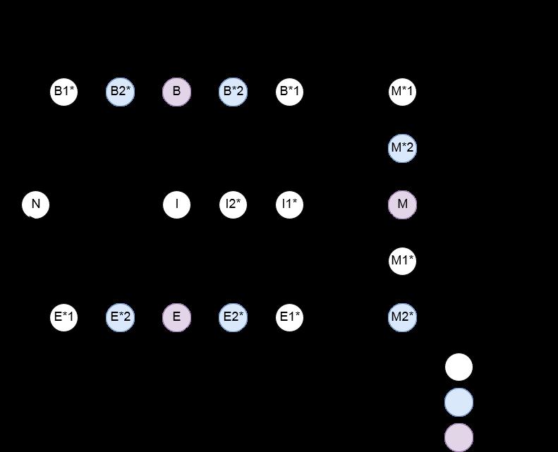 Figure 5.9: Transition diagram of HMMcod19st modeling DNA sequences that contain a single gene.