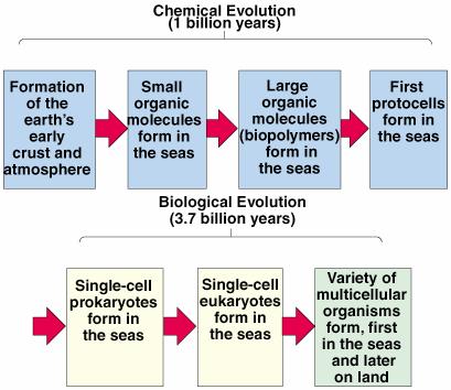 2. Origins of Life Summary of the evolution of the earth