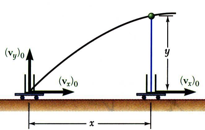 Rectngulr Components of Velocity & Accelertion Motion of projectile g initil