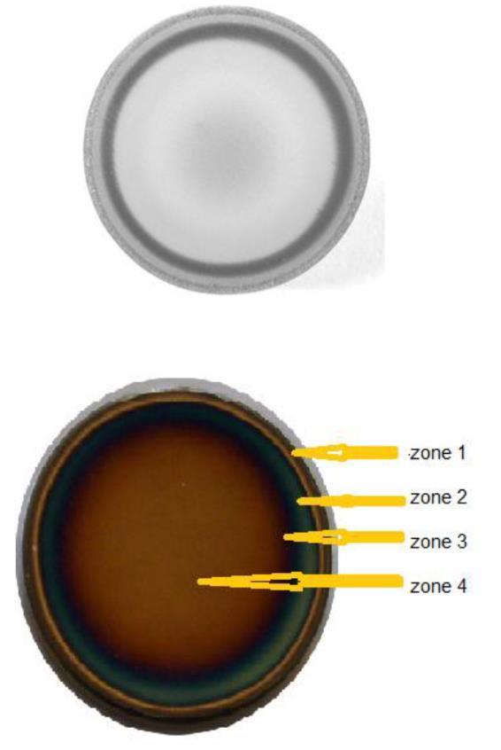 Graduation Project Challenges: The figure below shows that the edge of the DC nitrided sample has different colors as compared to the central area. This phenomenon, generally known as edge effect.