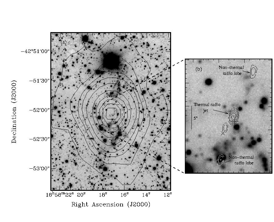10 Fig. 2. ISAAC H 2 2.12 µm emission image (no continuum subtraction) shown in grey scale. (a) Overlaid with 1.2-mm dust continuum emission from Garay et al. (2003). Contour levels are 0.25 (5σ), 0.