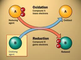 4. Transition metals have variable oxidation states 5. In names the oxidation state is given as Roman numeral.