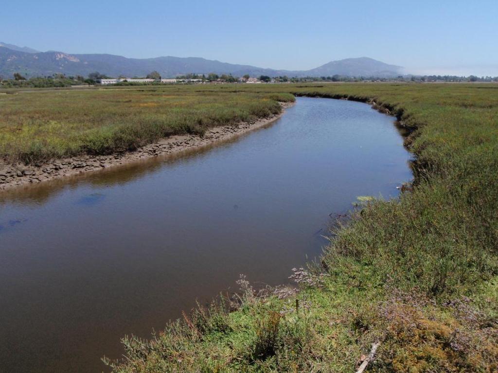 Carpinteria Salt Marsh Surrounded by developed land Fed by channelized urban-creeks Receives large amount of agricultural runoff Narrow ocean mouth Sand
