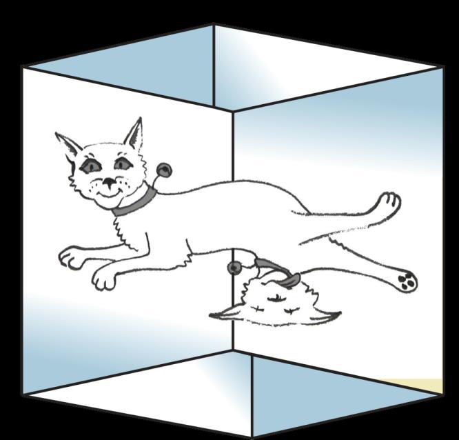 Superposition object in more states at same time Schrödinger's cat: dead and alive Experimentally verified: