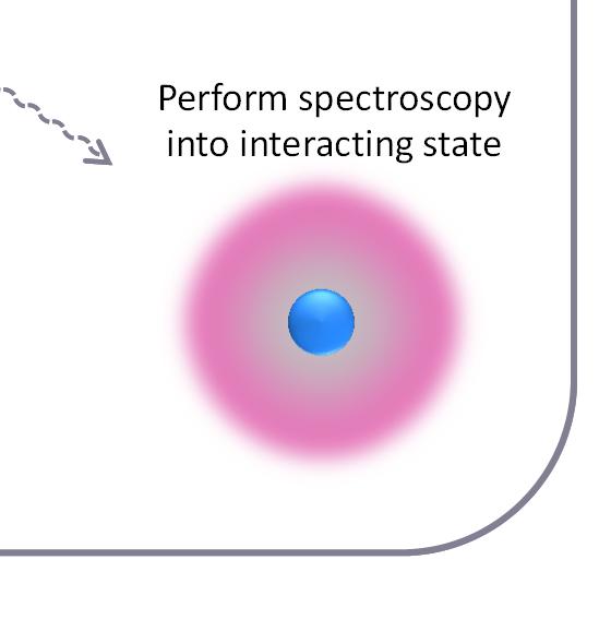 state Polaron energy Perform spectroscopy into interacting