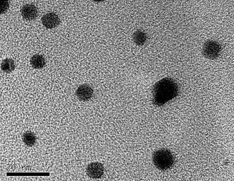 This study describes the preparation of various sizes and shapes of Au nanoparticles for mercury adsorption by using polyol method under MW heating.