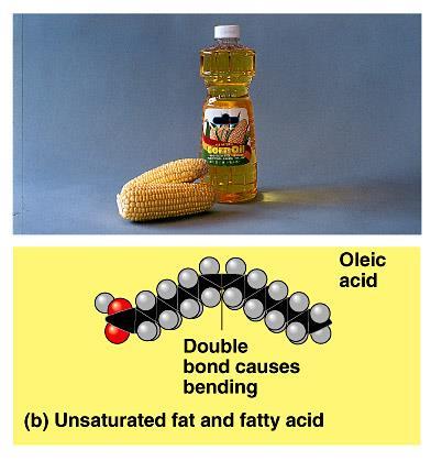 Unsaturated Fats Lacks all the hydrogens that can be bound to the carbons in