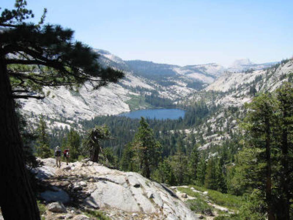Geology of the Sierra Nevada Because the Sierra Nevada is underlain by mostly granitic rocks, soils are thin & rocky.