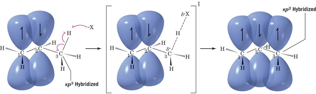 The Stability of the Allyl Radical Both molecular orbital theory and resonance theory can explain the stability of allyl radicals Molecular Orbital Description of the Allyl Radical When an allylic