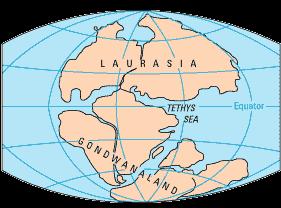Antarctica Pangaea Pacific Tethys Figure 2 b) Figure 3 shows what happened to this continent