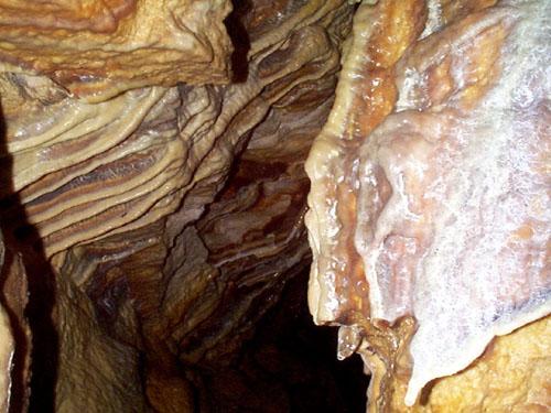 Cave Bacon in Bermuda Fort Scaur