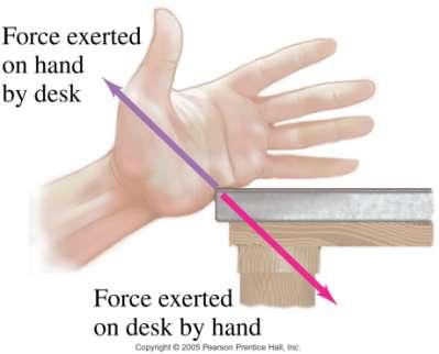 4-5 Newton s Third Law of Motion Any time a force is exerted on an object, that force is caused by another object.