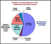 for humans and other animals Detrimental (diseases, damage goods ) The Most