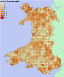 existing niche models for UK plants (Multimove) to map species richness (shown here for one catchment
