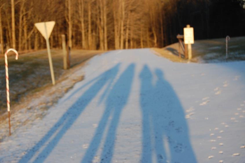 This is a picture taken in winter. d) Look at the picture above. What do you notice about the shadows?