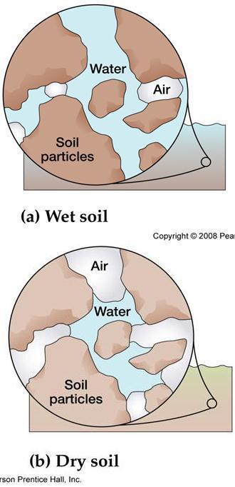 Soil Components Soil Air (Pore Spaces) Interstices (pathways for air) Spaces for water