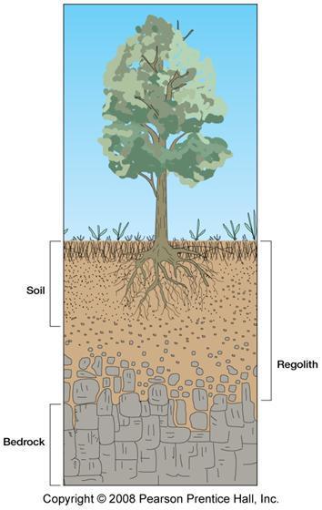 Soil-Forming Factors The Geologic Factors Parent material Raw material for soil formation.