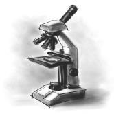4 PART 3. MICROSCOPE I. PARTS & FUNCTIONS: 1. eyepiece/ocular lens lens that you look 6. body tube connects objective & eyepiece through to magnify specimen 7. stage table that holds the slide 2.