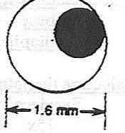 5 5. Calculate the total magnification: a. Eyepiece lens = 15x, Objective lens = 5x Total Mag = 75x b. Eyepiece lens = 10x, Objective lens = 10x Total Mag = 100x c.