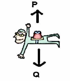 Some energy is wasted as. Question Two: Forces [5 marks] (a) Alice goes skydiving. This diagram shows two forces acting on her as she falls.
