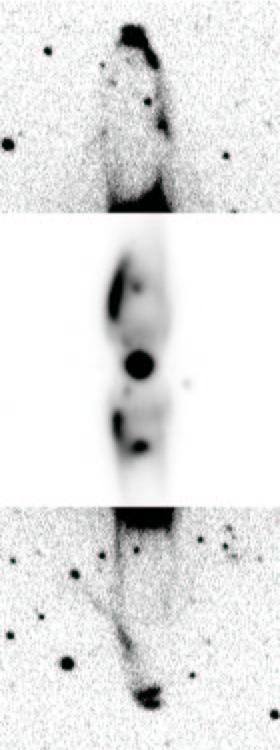 BIPOLAR PNE 25 Fig. 1. The Hα + [N II] image of M 2-9 from SACR. Note the point symmetry of the outer lobes and the plane symmetry of the inner nebula.