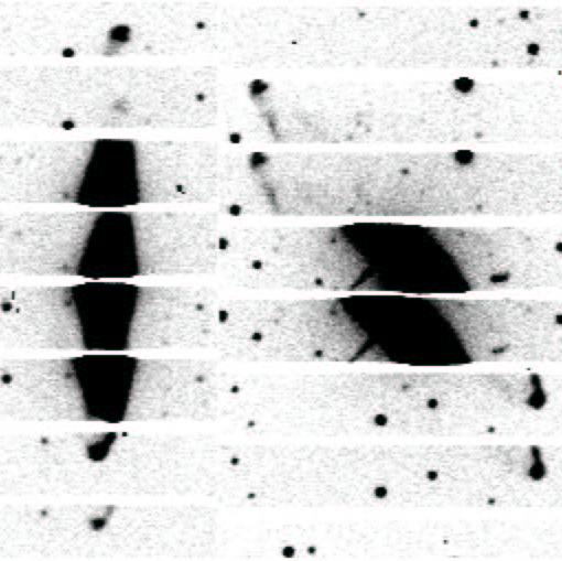 26 SCHWARZ & MONTEIRO Fig. 3. Hα/[N II] polarization images of M 2-9 from SACR. The two images show alternate strips of orthogonally polarized light with the vectors vertical and horizontal.