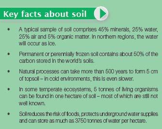soils in