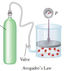 AVOGADRO S LAW Gases at the SAME